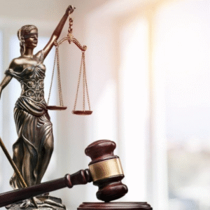 Higher Judiciary Course